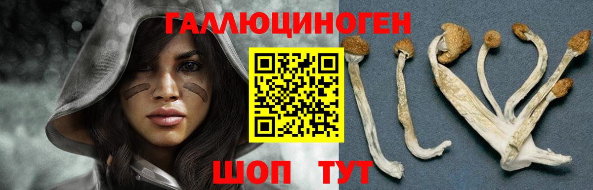 Псилоцибиновые грибы прущие грибы  купить наркоту  Урай  Вход с VPN 